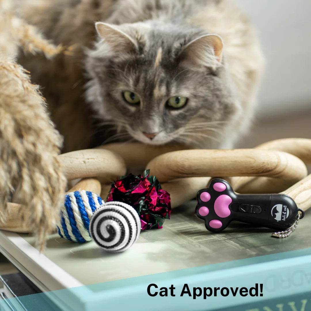 USB Rechargeable Cat Laser Toy + 3 Interactive Balls | Safe Indoor Fun & Exercise