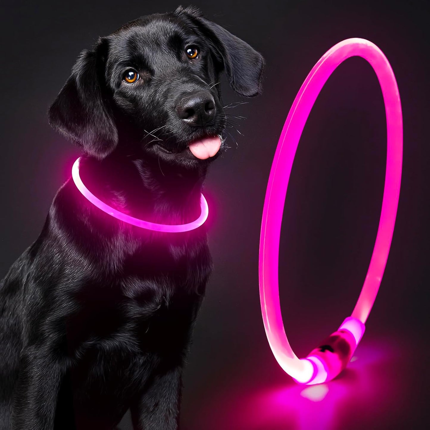💡 Glow-in-the-Dark LED Dog Collar – Waterproof, USB Rechargeable, Cut-to-Fit TPU Light-Up Safety Collar for Night Walks (Pink)
