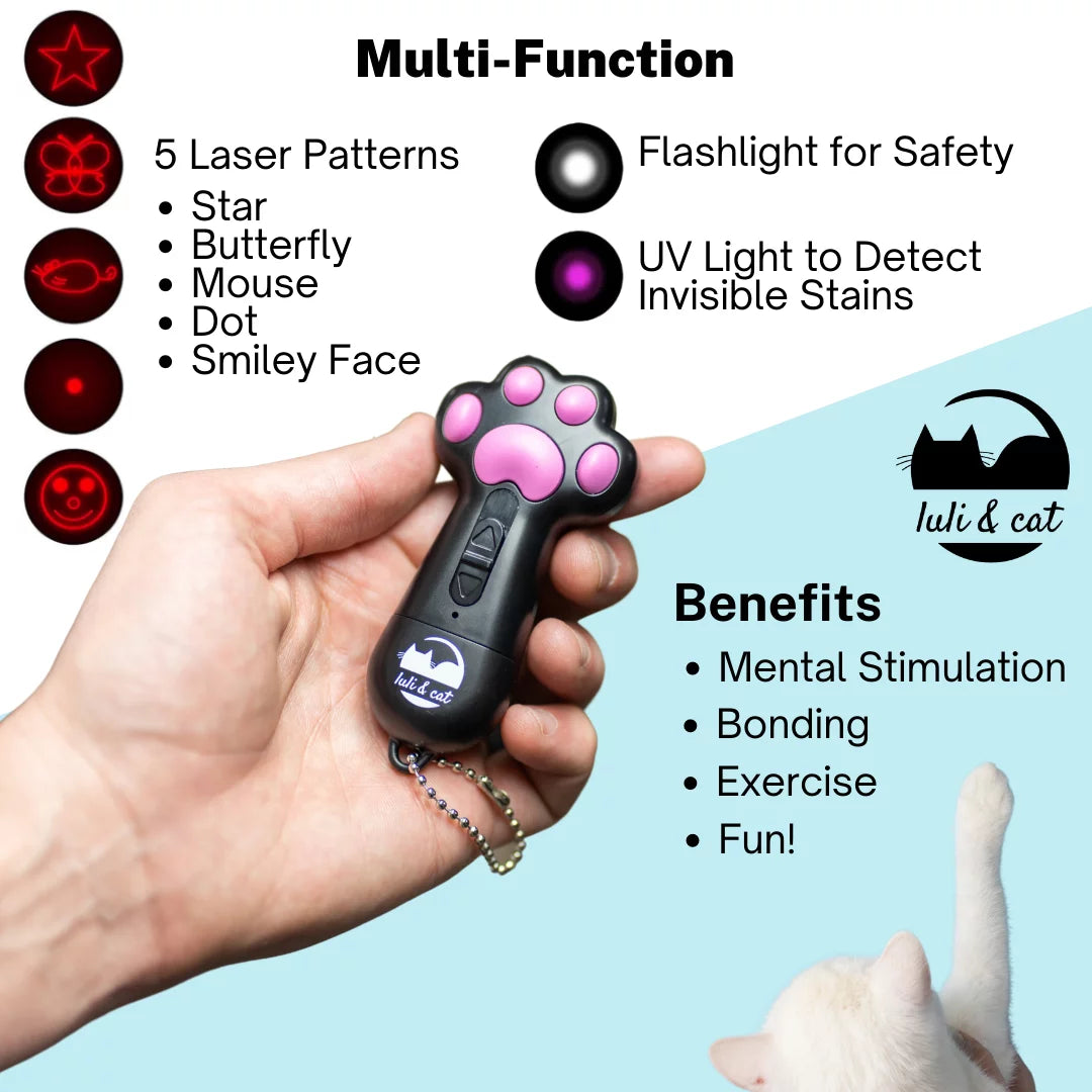USB Rechargeable Cat Laser Toy + 3 Interactive Balls | Safe Indoor Fun & Exercise