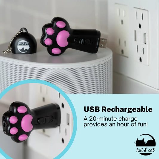 USB Rechargeable Cat Laser Toy + 3 Interactive Balls | Safe Indoor Fun & Exercise
