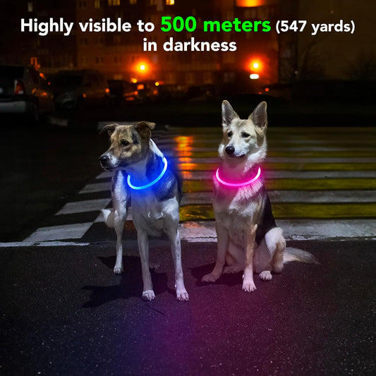 💡 Glow-in-the-Dark LED Dog Collar – Waterproof, USB Rechargeable, Cut-to-Fit TPU Light-Up Safety Collar for Night Walks (Pink)